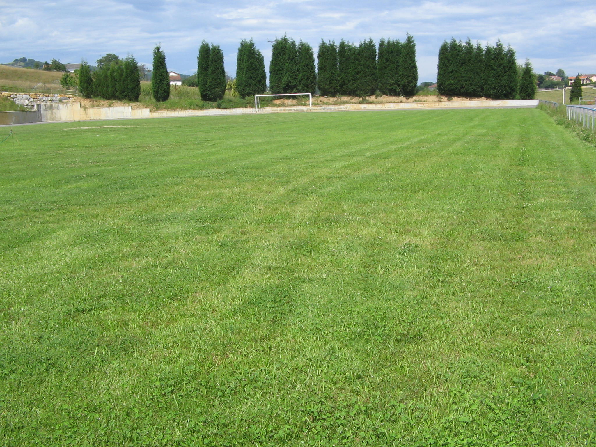 Campo de futbol de hierba
